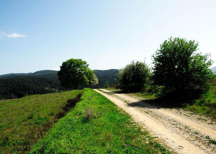 Γεωτεμάχιο στην Γαλατσώνα Ευβοίας