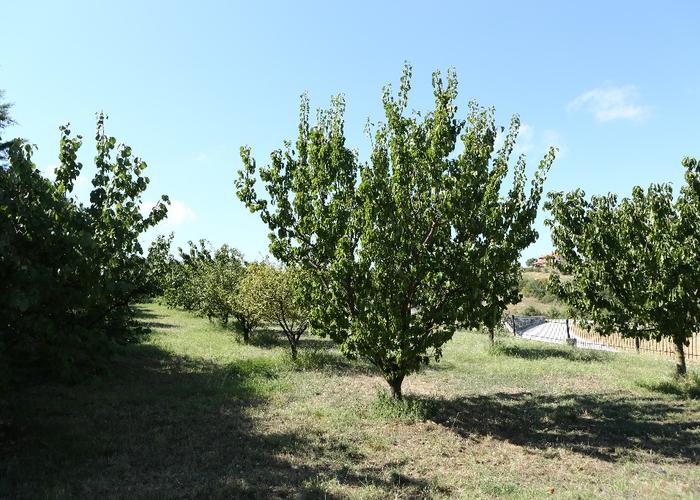 Βίλα δίπλα στην Θέσσαλονικη