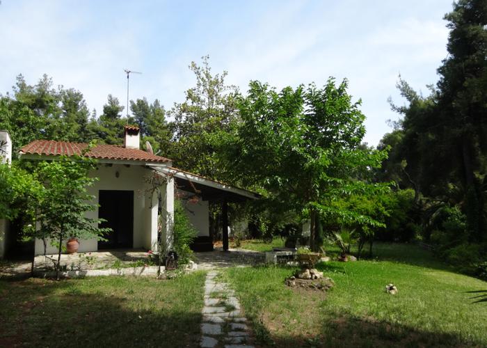 House Alexia in Sani Kassandra