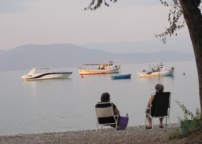 Μονοκατοικία στον Ελαιώνα