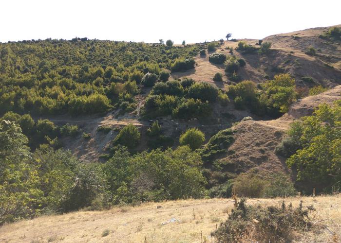 Γεωτεμάχιο στην Ορεινή