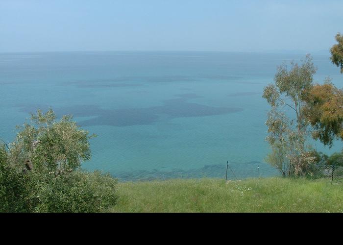 Land plot 68229308 in Sithonia Chalkidiki