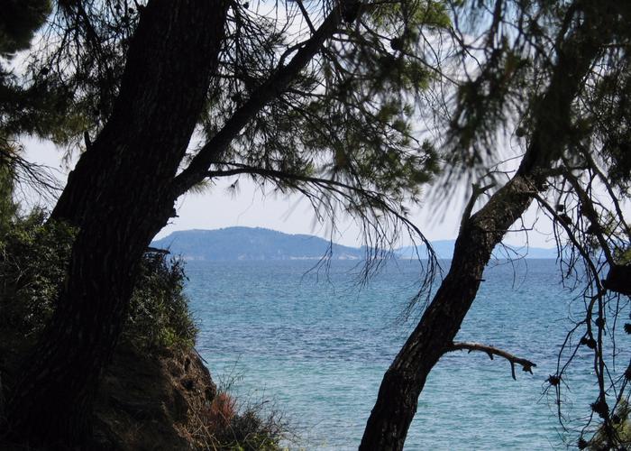 Land plot 68229308 in Sithonia Chalkidiki