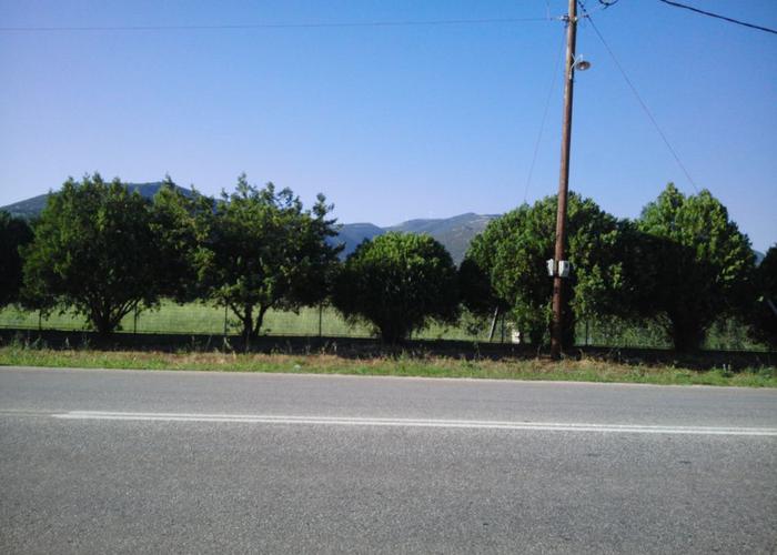 Μονοκατοικία στην Δράμα