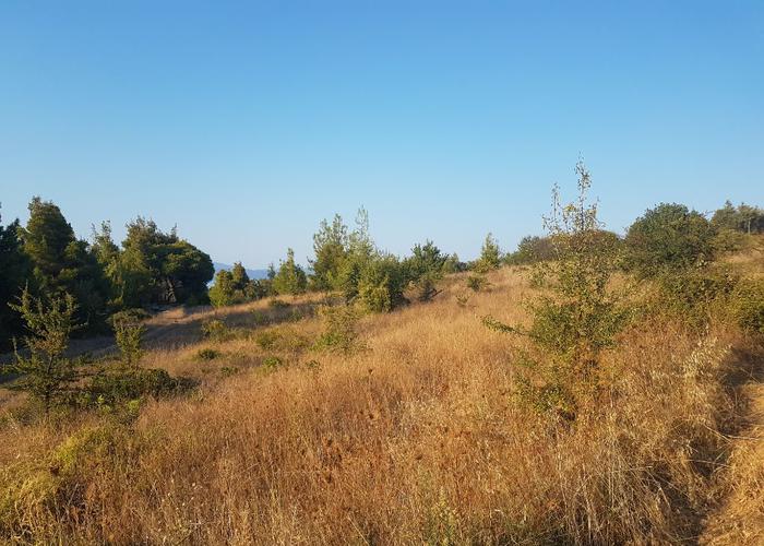 Land plot in Agios Nikolaos Chalkidiki