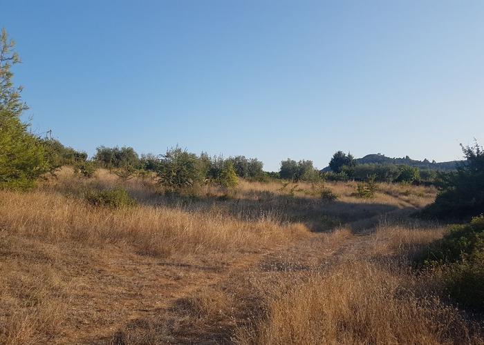 Land plot in Agios Nikolaos Chalkidiki