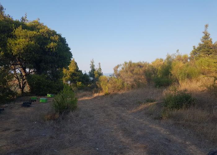 Land plot in Agios Nikolaos Chalkidiki