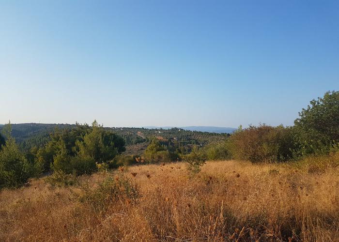 Land plot in Agios Nikolaos Chalkidiki