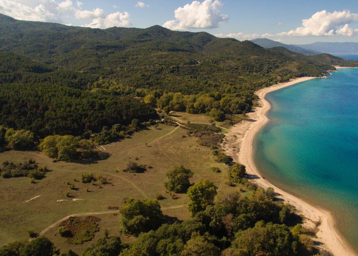 Γεωτεμάχιο στην Ολυμπιάδα Χαλκιδικής