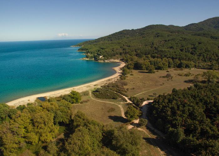 Γεωτεμάχιο στην Ολυμπιάδα Χαλκιδικής