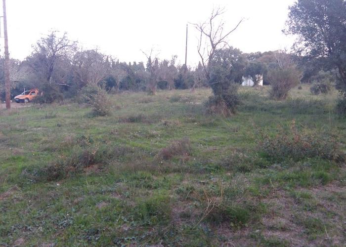 Land plot in Agios Andreas Korakochoriou