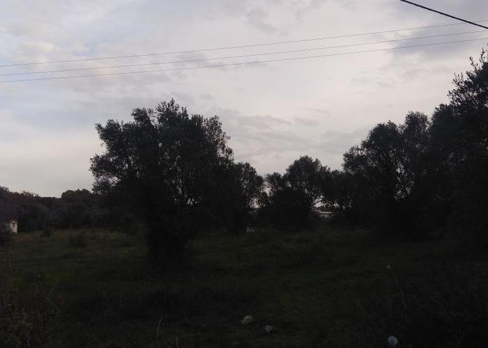 Land plot in Agios Andreas Korakochoriou