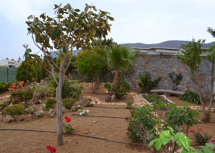 Villa in Analipsis Crete