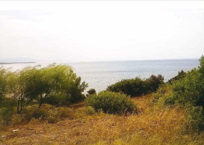 Land plot in Psakoudia Chalkidiki