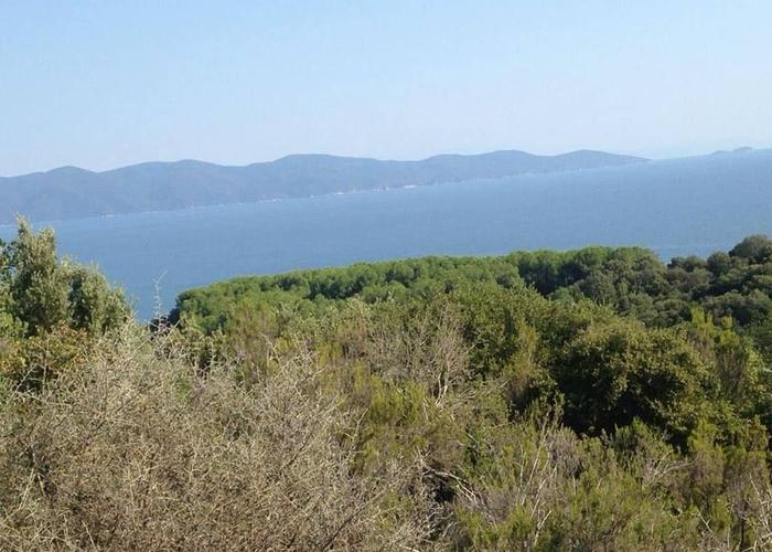 Land plot in Chalkidiki