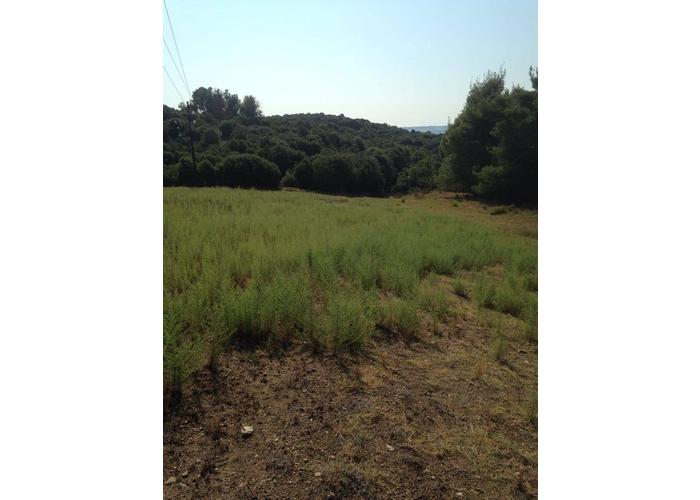 Land plot in Chalkidiki