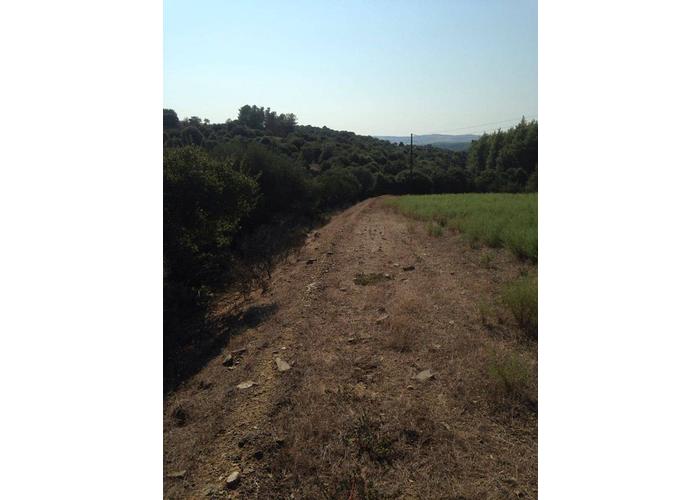 Land plot in Chalkidiki