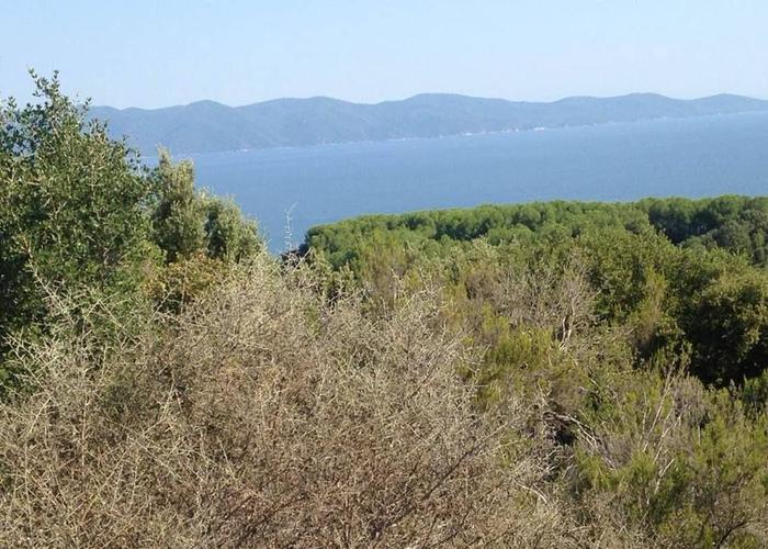 Land plot in Chalkidiki