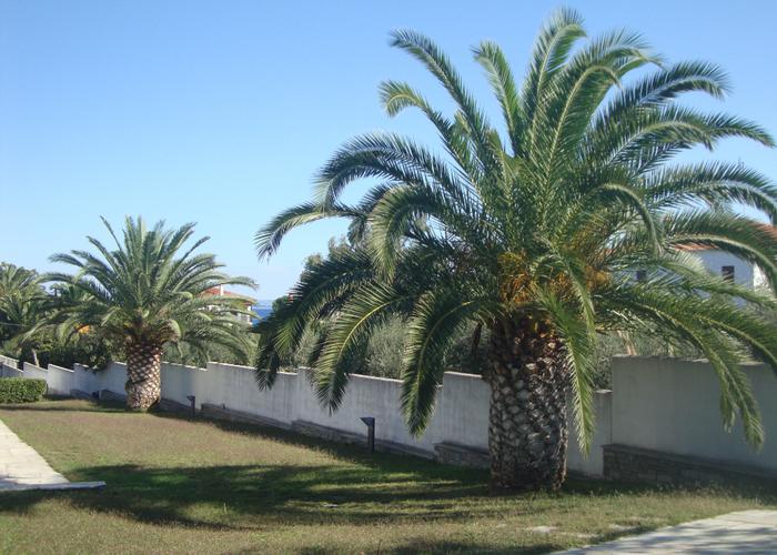 Villa Mirabella in Polychrono Chalkidiki