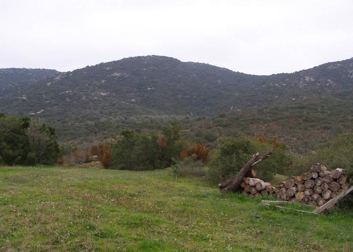 Κατοικία Κριαρίτσα στην Σιθωνία Χαλκιδικής