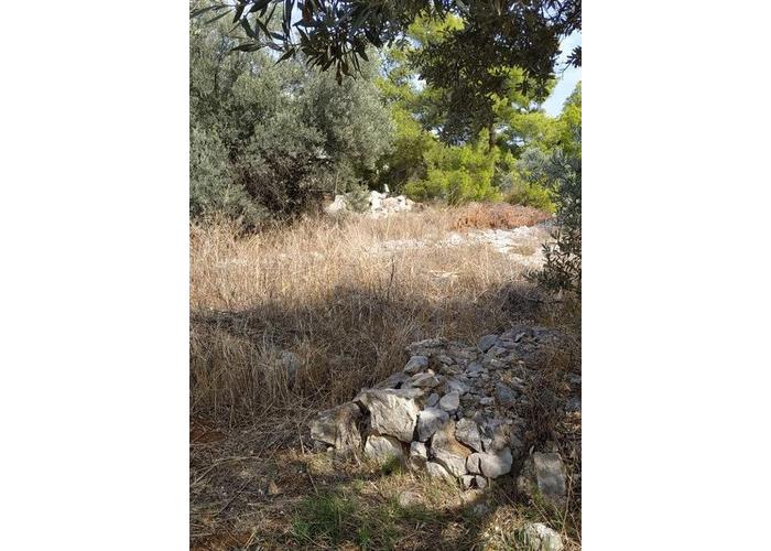 Land plot in Limenaria