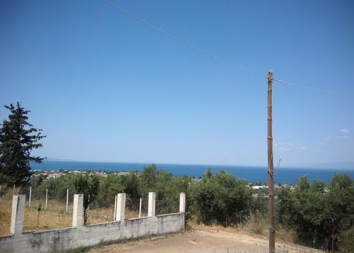 Land plot in Mintilogli Patra