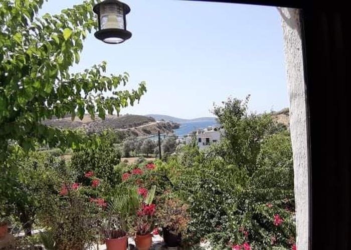 Μονοκατοικία στην Σκυρο