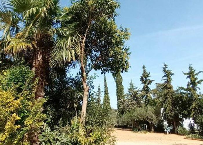 Land plot in Eleochoria