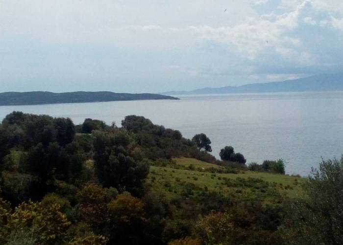 Land plot in Chalkidiki