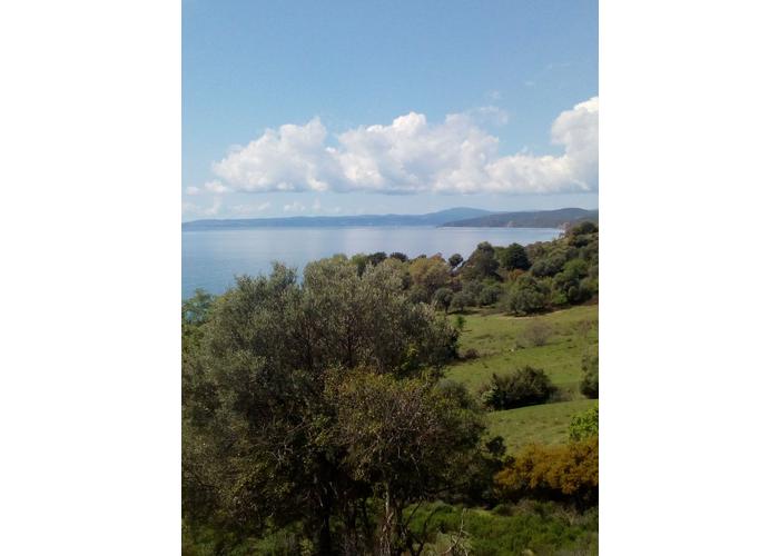 Land plot in Chalkidiki