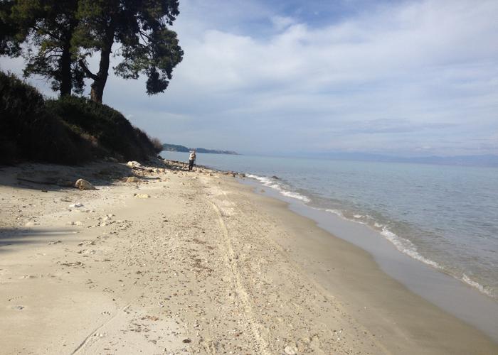 Μεζονέτα Πετράκης στην Κρυοπηγή Χαλκιδικής