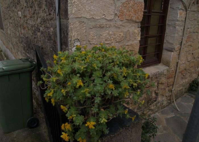 House Stone in Afytos Chalkidiki