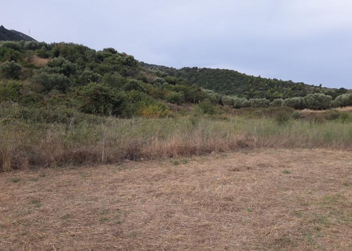 Land plot in Psathopyrgos
