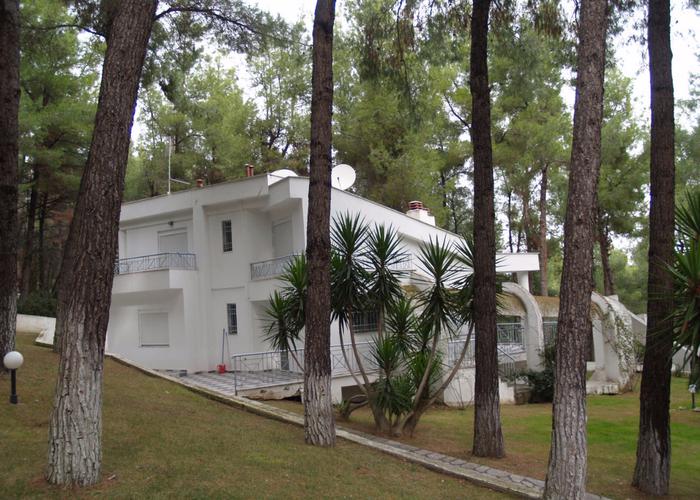 Villa Angie in Sani Chalkidiki