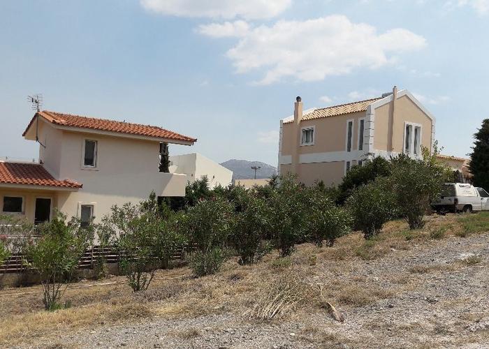 Γεωτεμάχιο στο Λαγονήσι