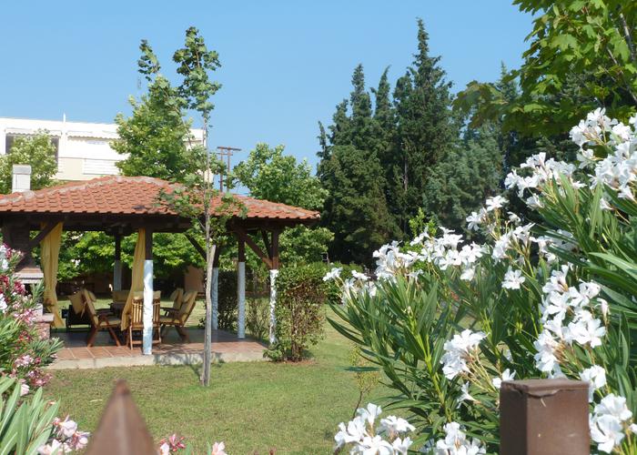 House Danai in Portes Chalkidiki