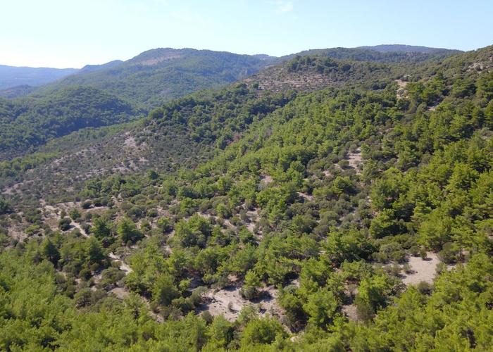 Land plot in Kalloni