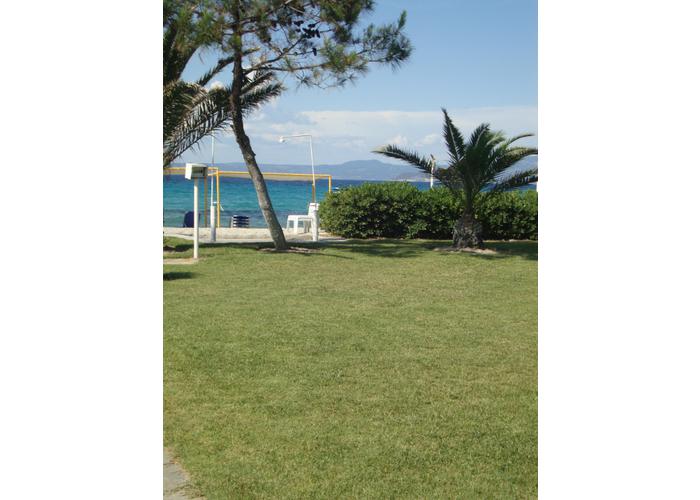 Townhouse Liana in Pevkochori Chalkidiki