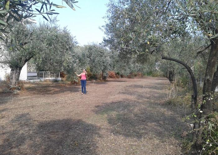 Land plot in Thasos