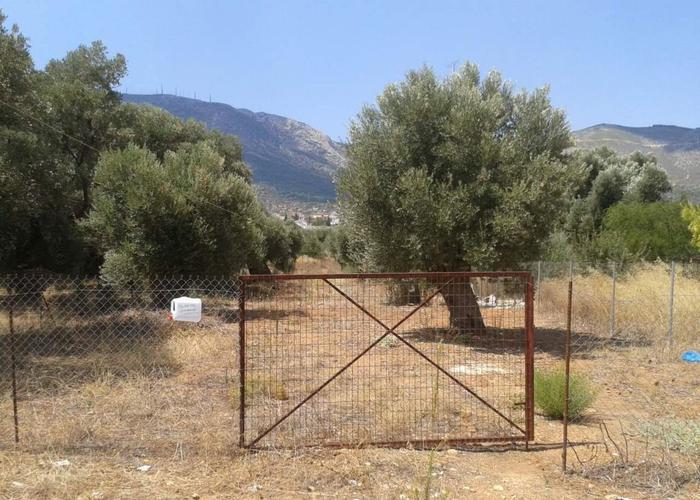 Land plot in Anatoliki Attiki