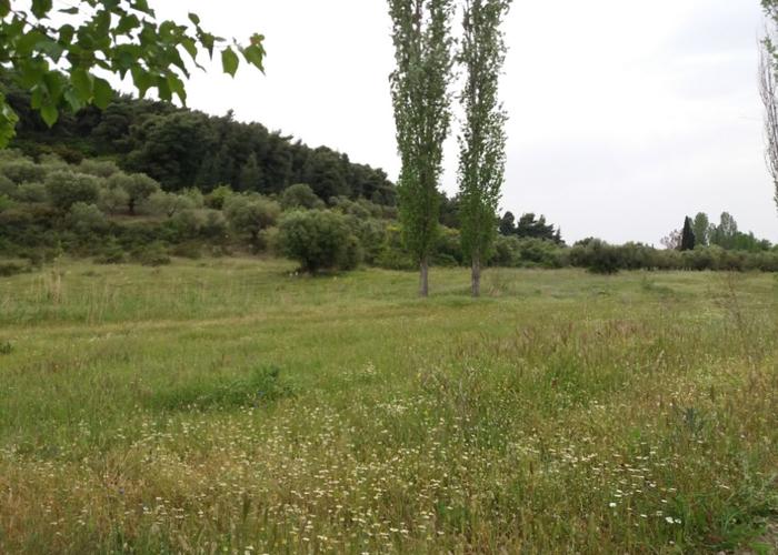 Land plot in Nikiti