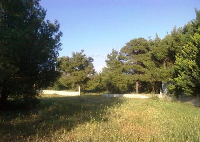 Land plot in Varympompi Athens