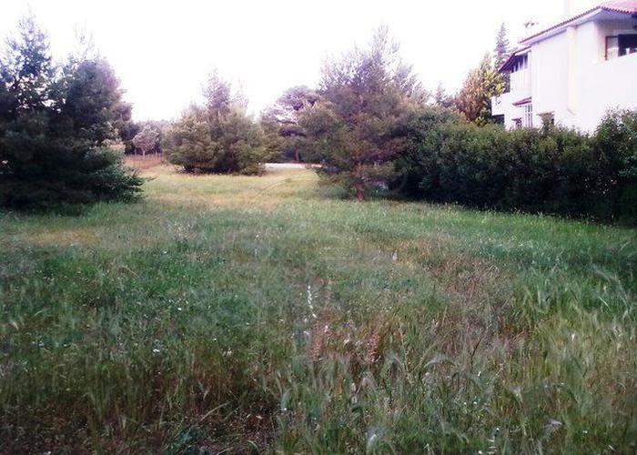 Land plot in Varympompi Athens