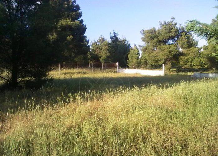 Land plot in Varympompi Athens