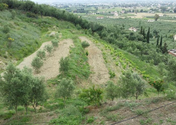 Land plot in Zakynthos