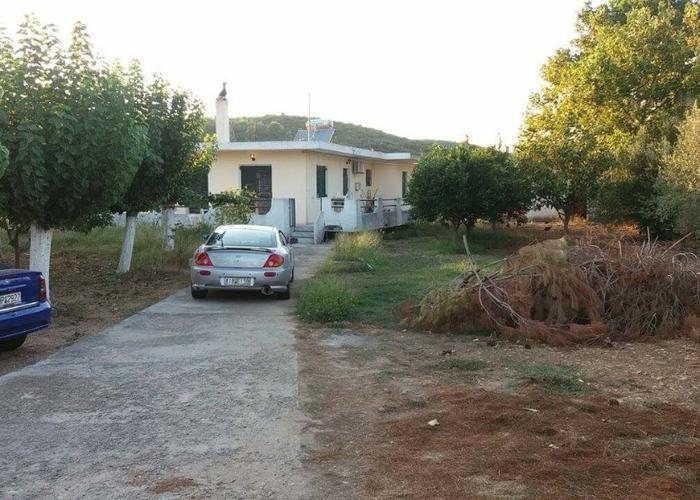 House in Ammousa