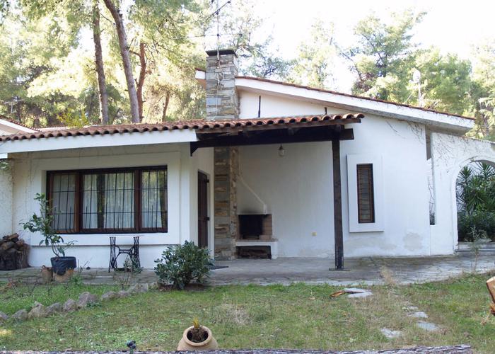 House Tidy in Sani Chalkidiki