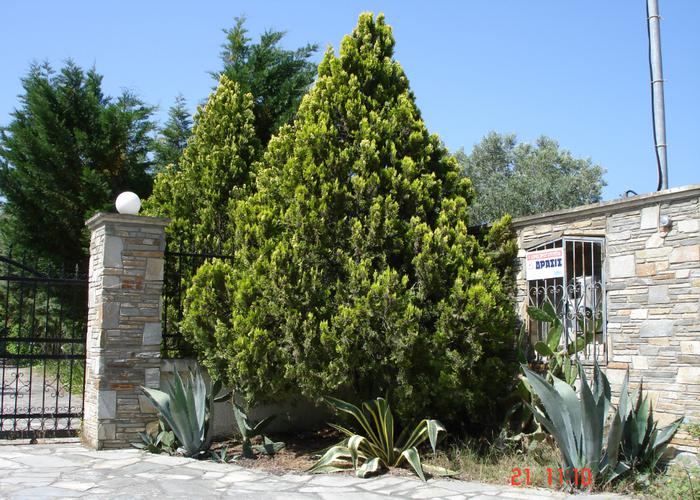 Villa Malamatina in Kassandra