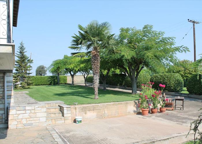 Villa Renata