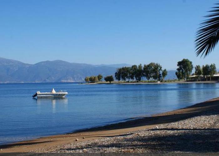 Βίλα στην Ροδοδάφνη Πάτρα